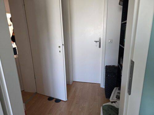 image-66586848