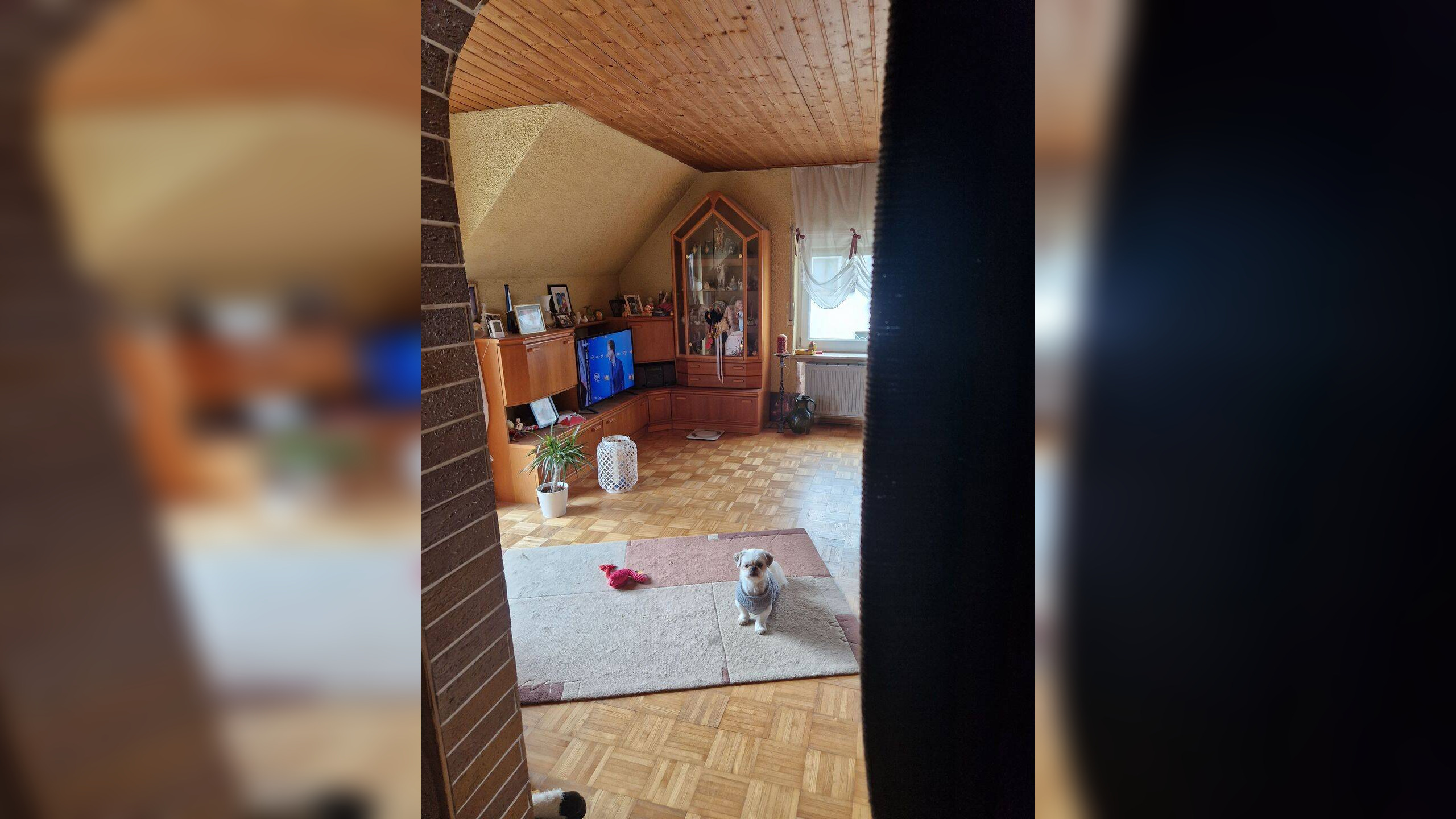 Bild 6