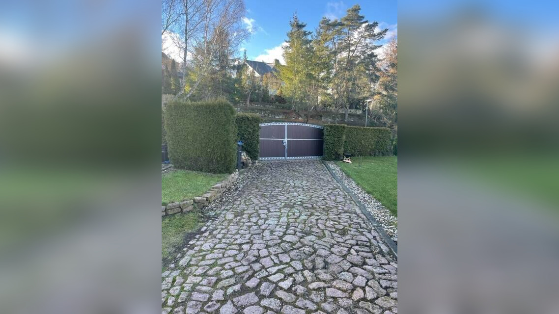 image-66600181