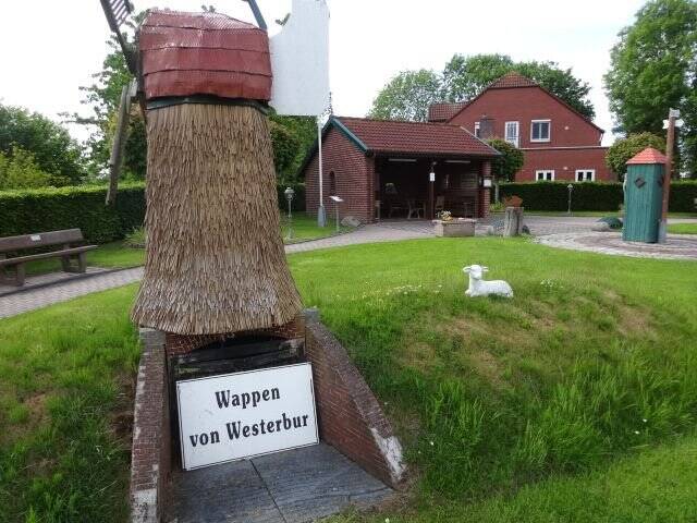 Bild 7