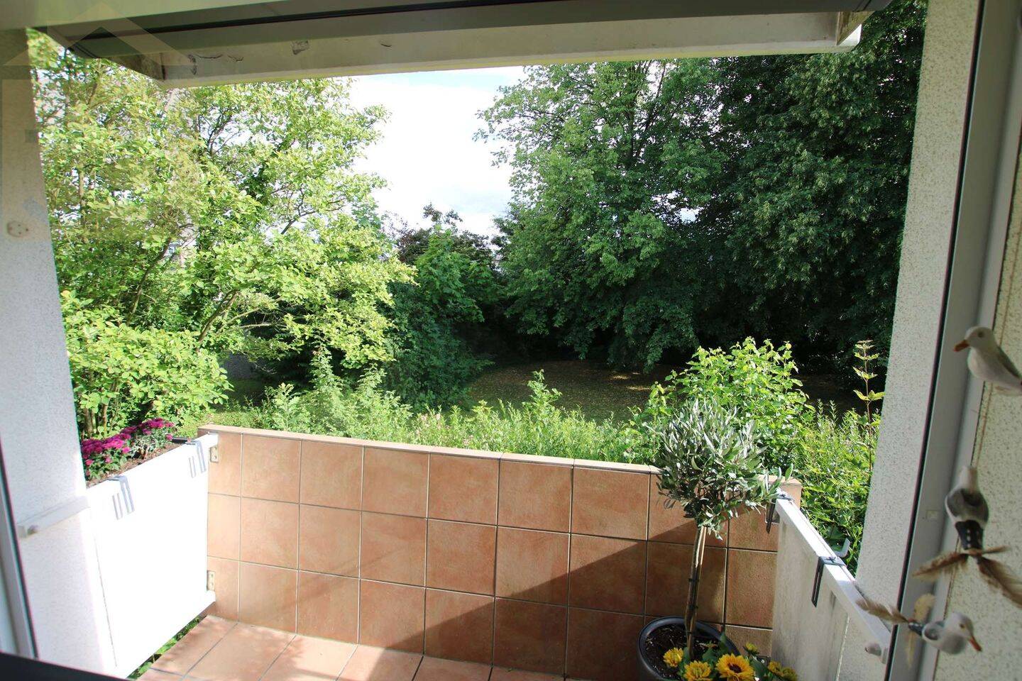 Bild 5