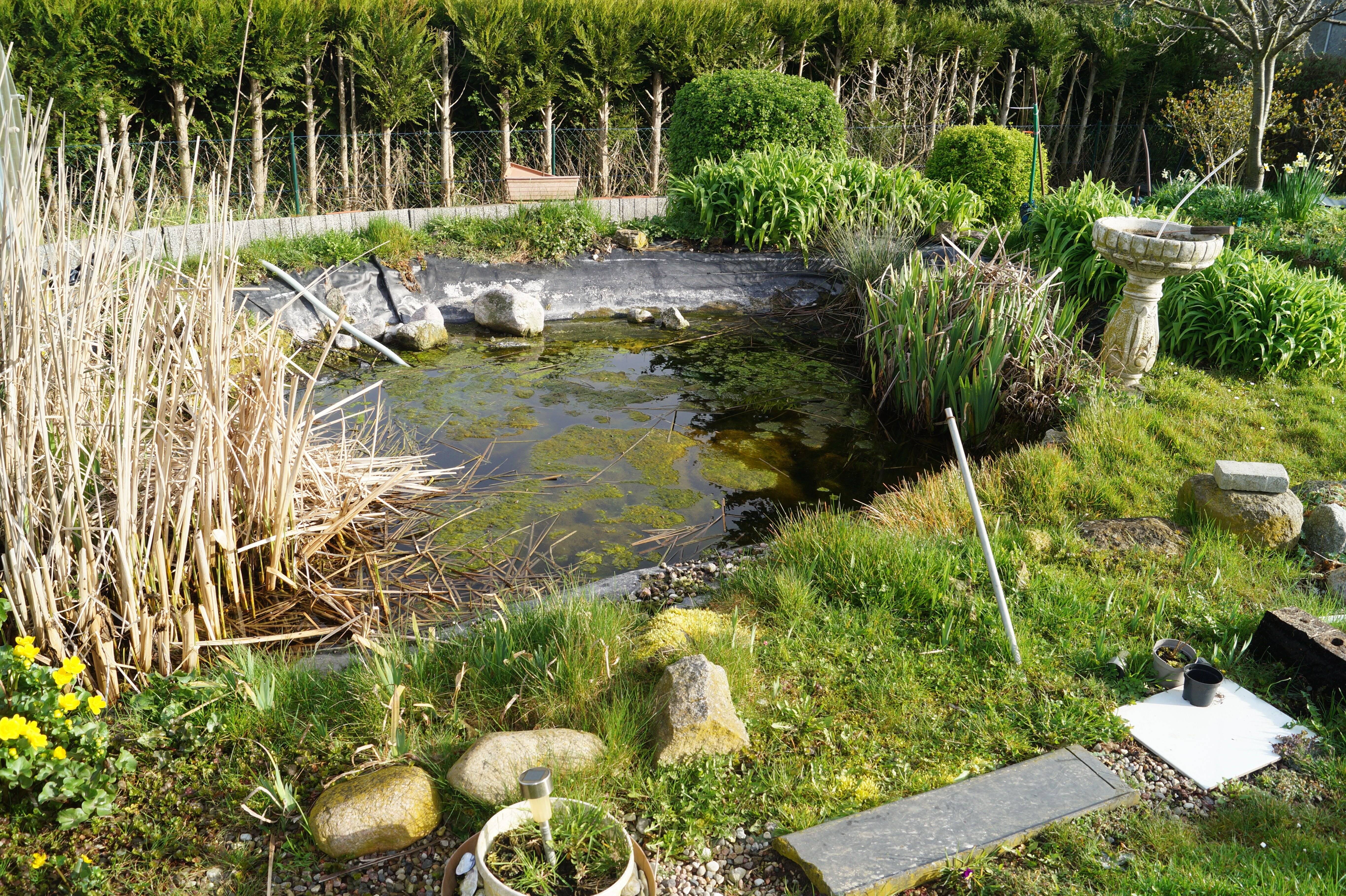 Bild 9