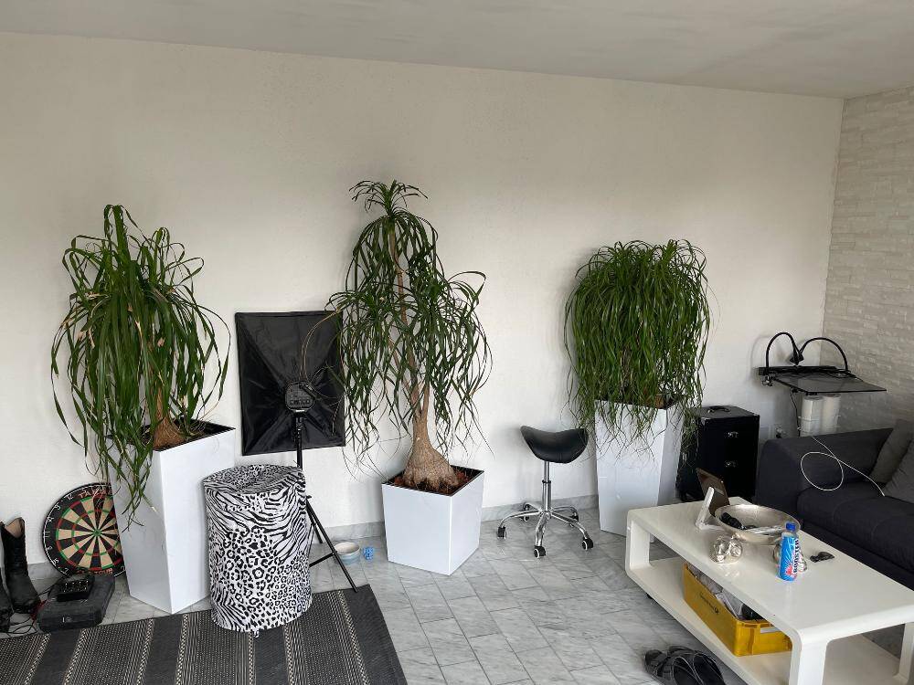 Bild 6