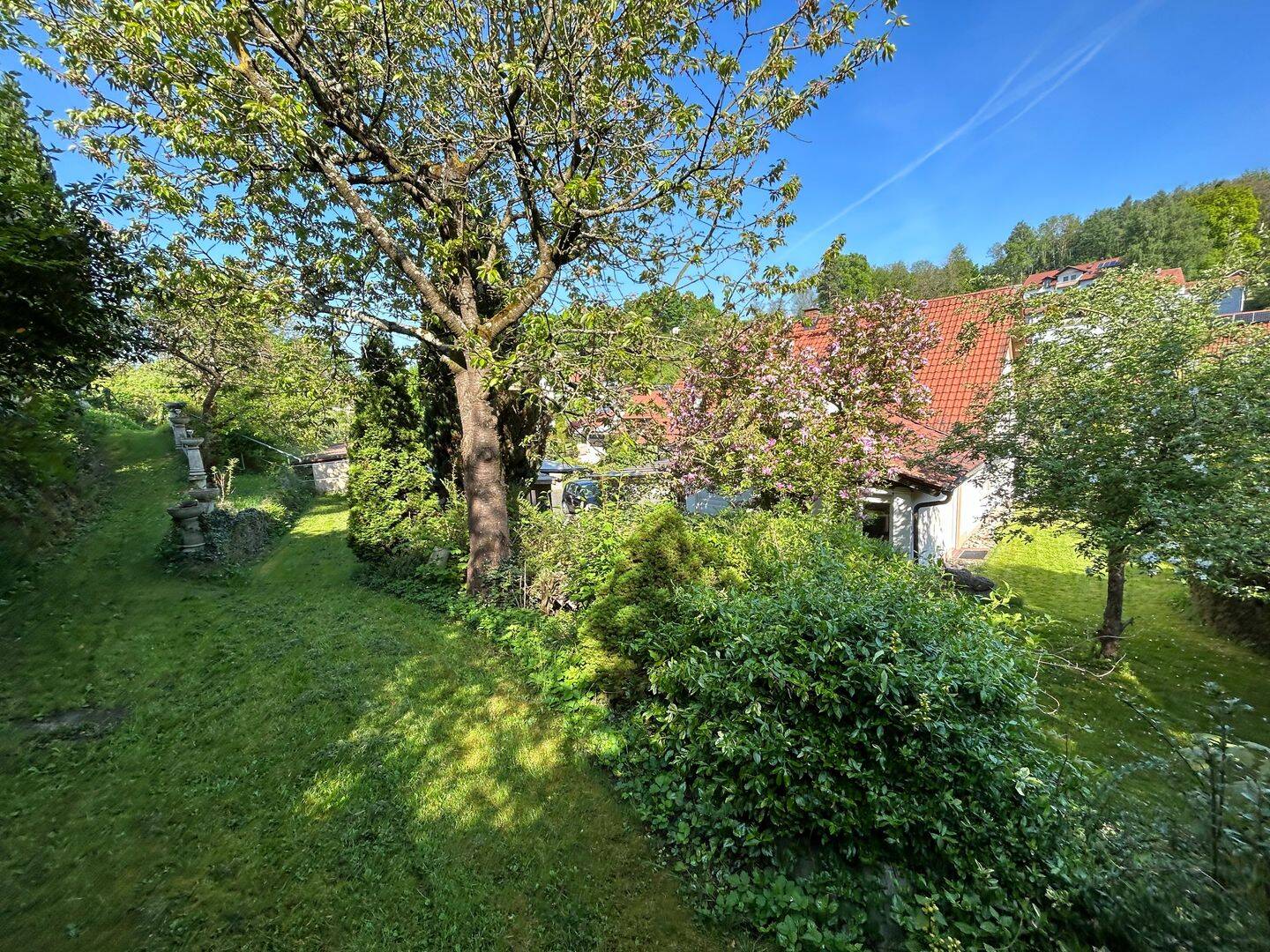 Bild 7