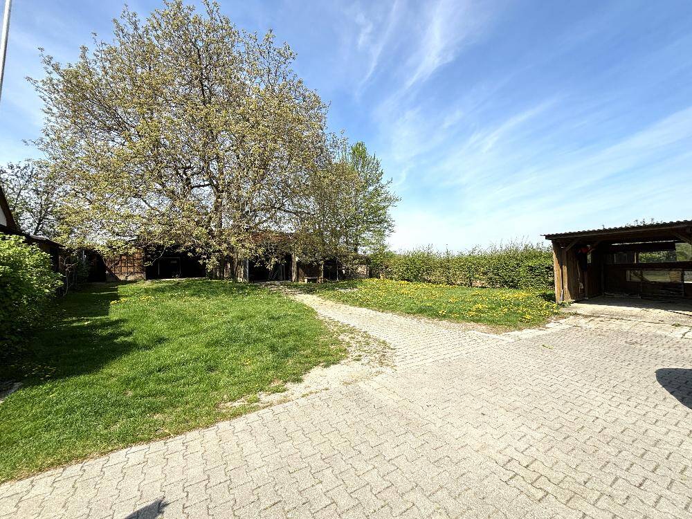 Bild 5