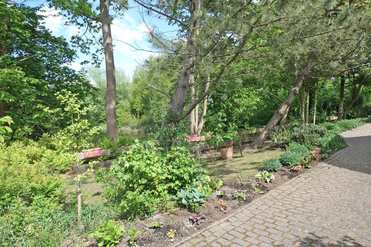 Bild 6