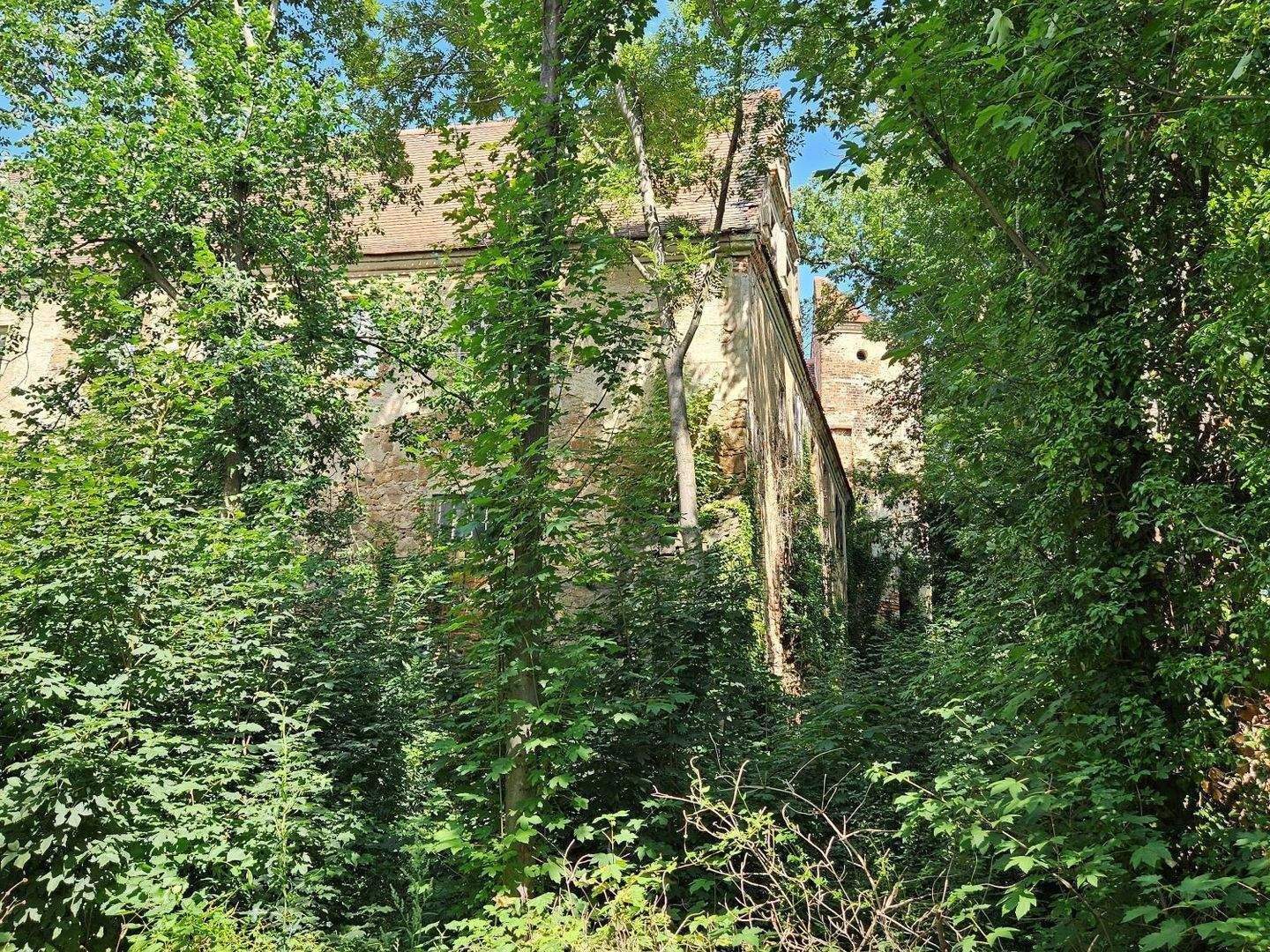 Bild 9