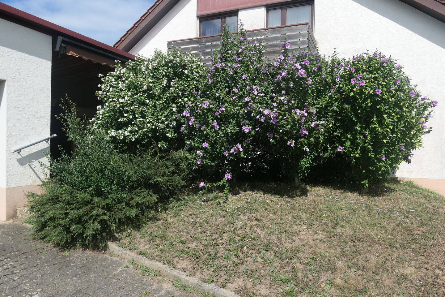 Bild 6