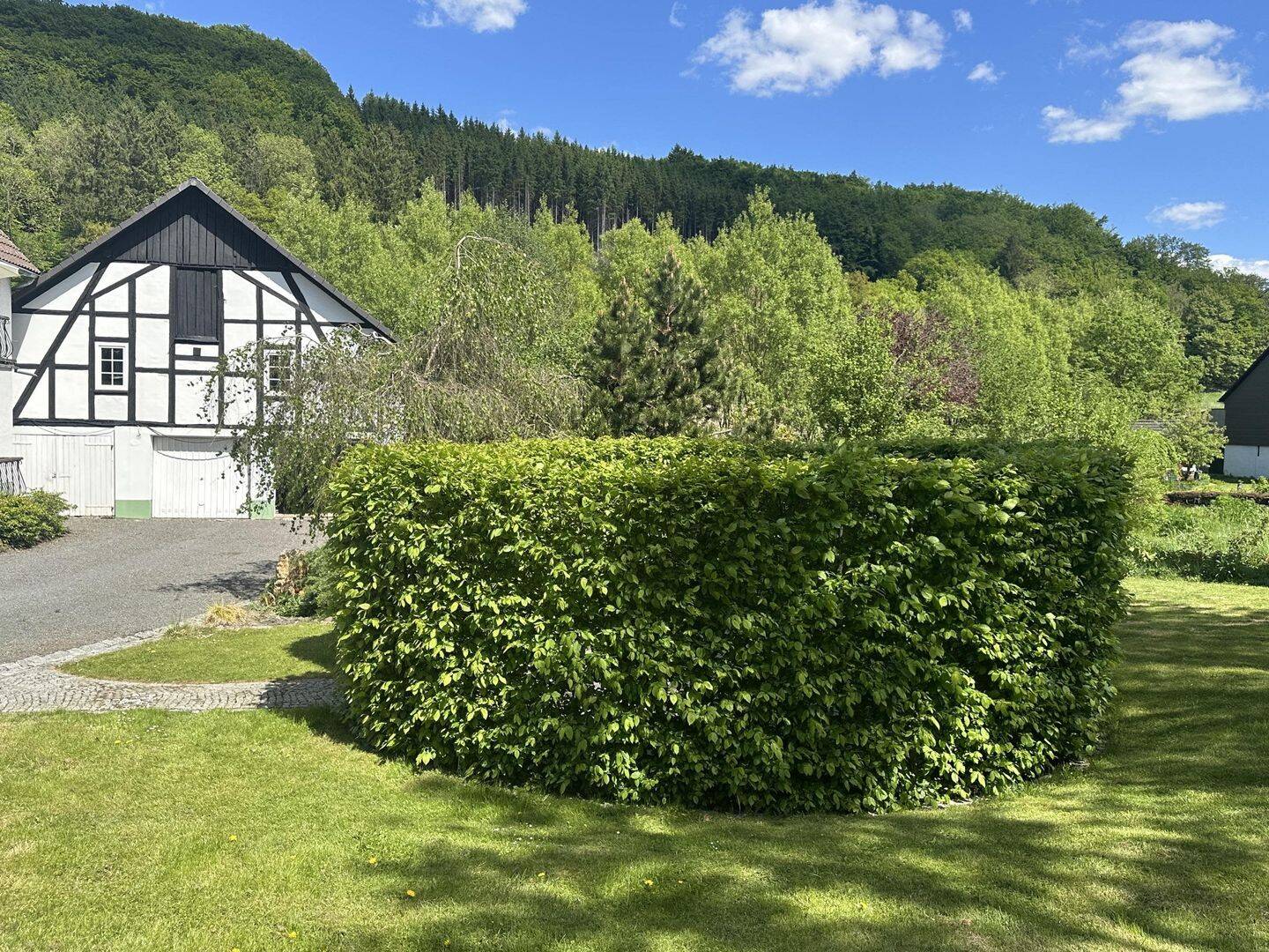 Bild 11