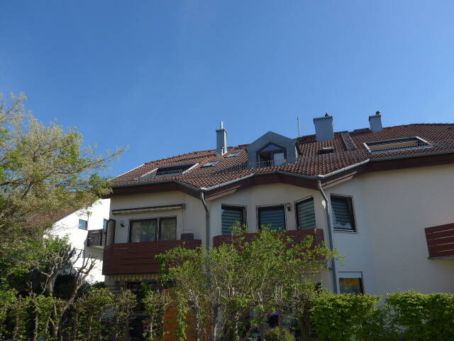 image-66739302