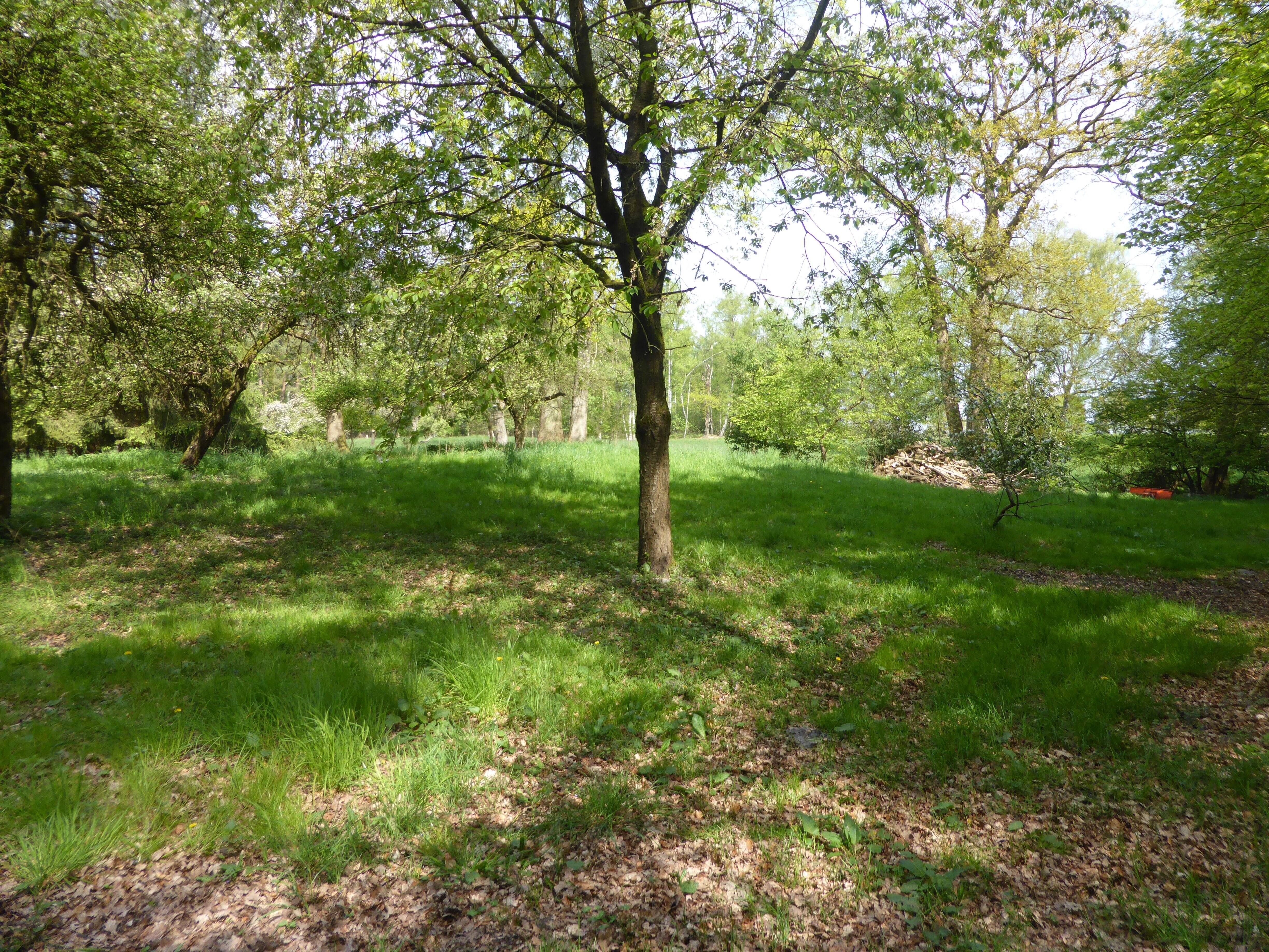 Bild 9