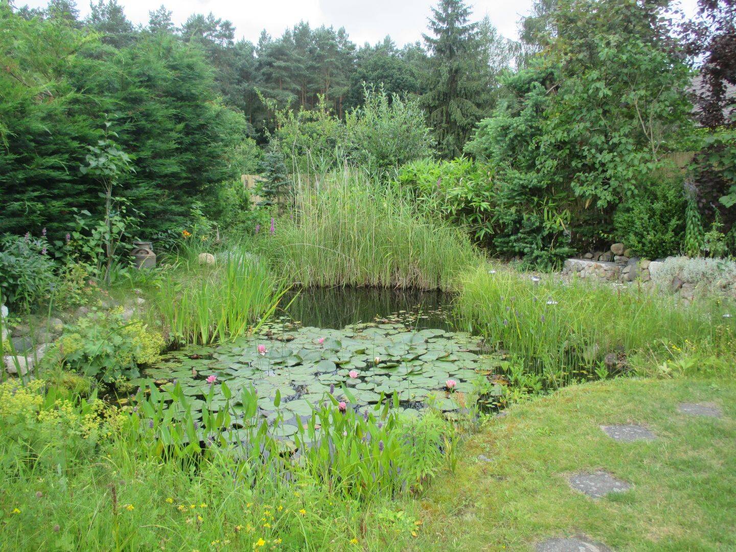 Bild 4