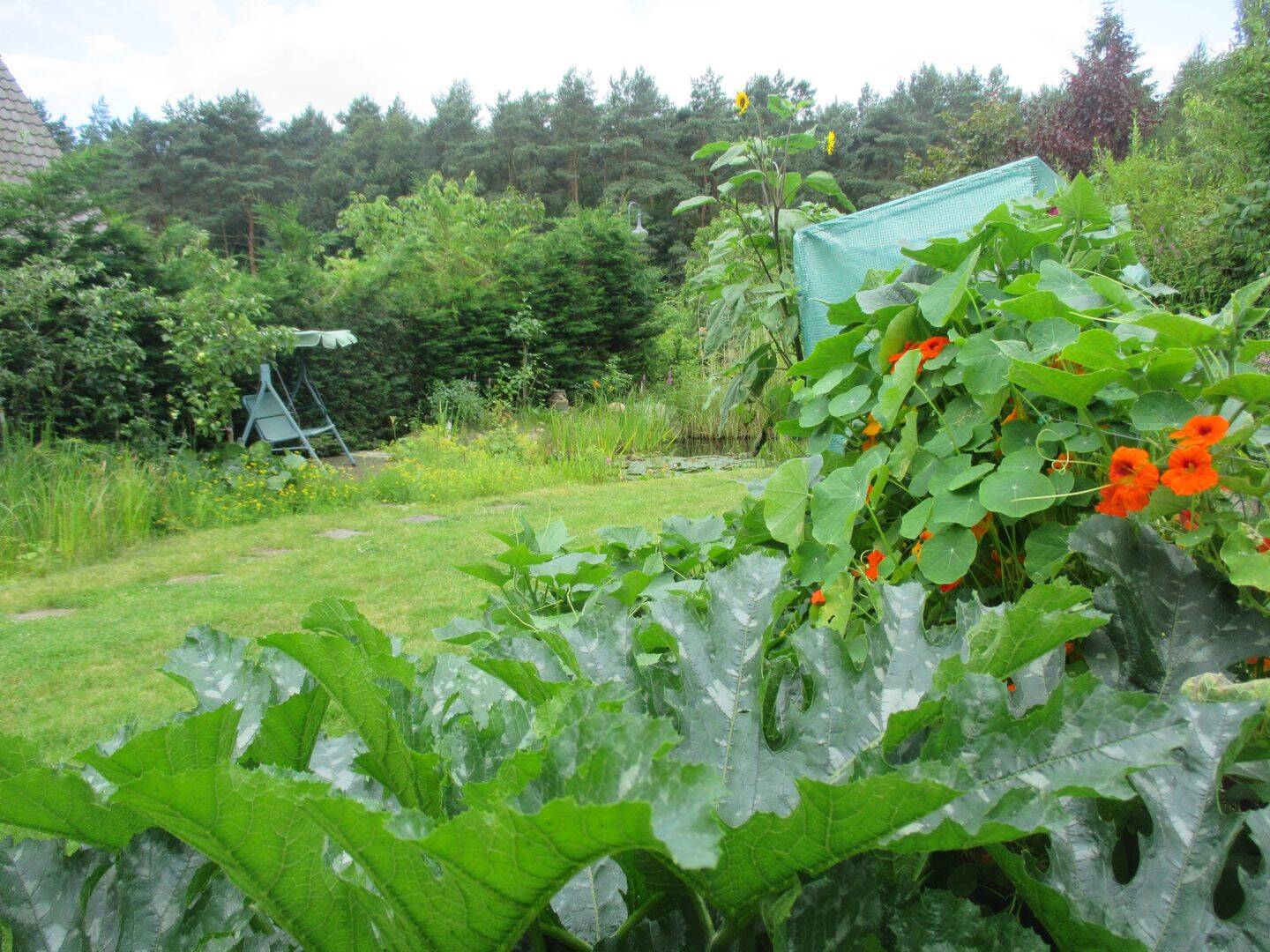 Bild 5