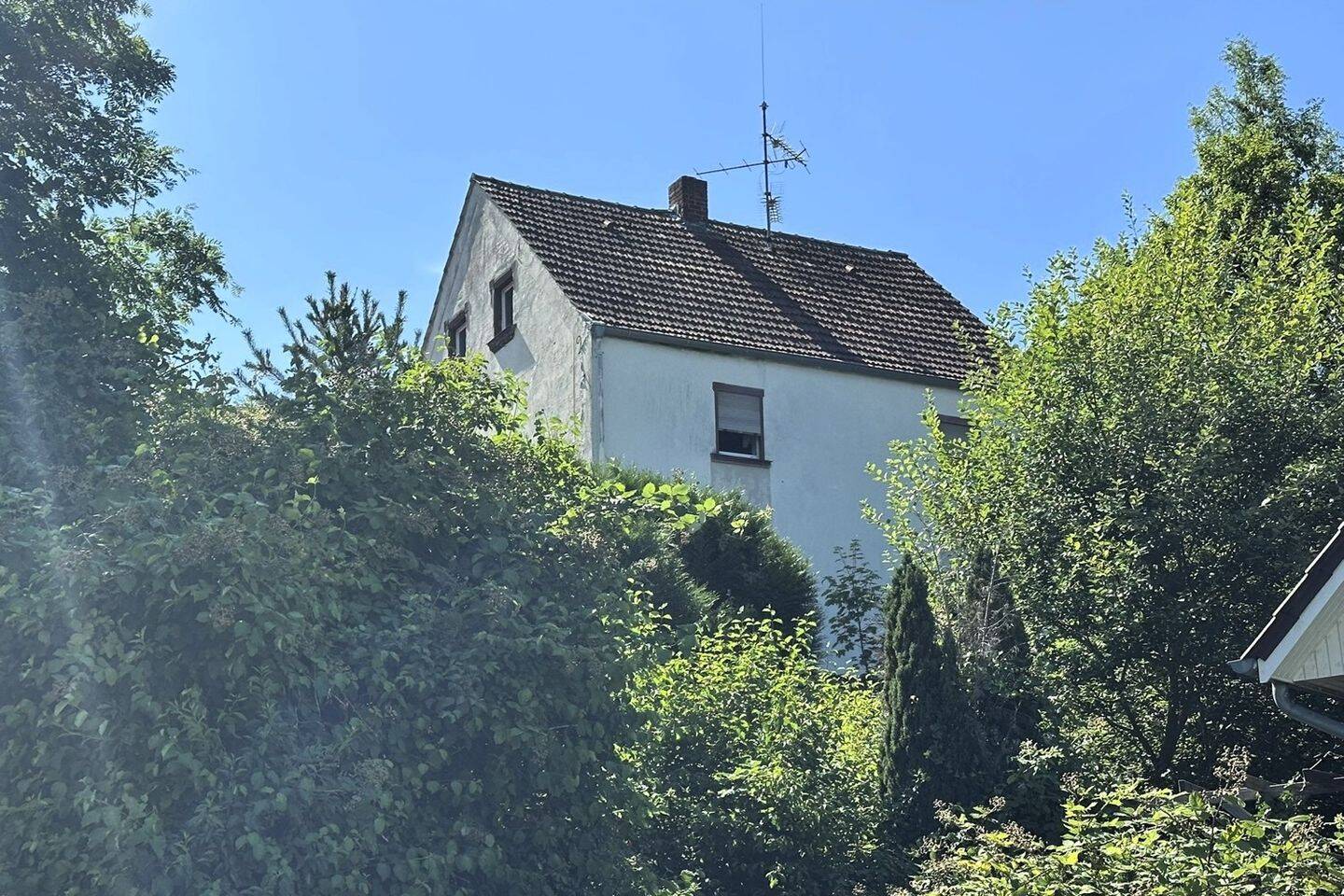 Bild 7