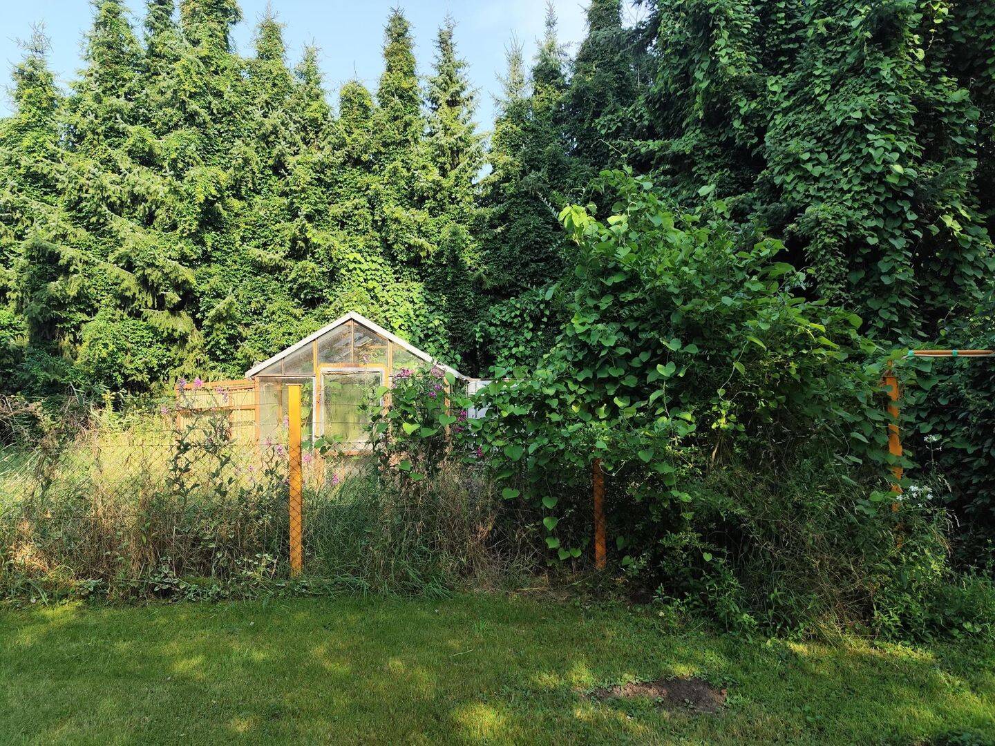 Bild 11