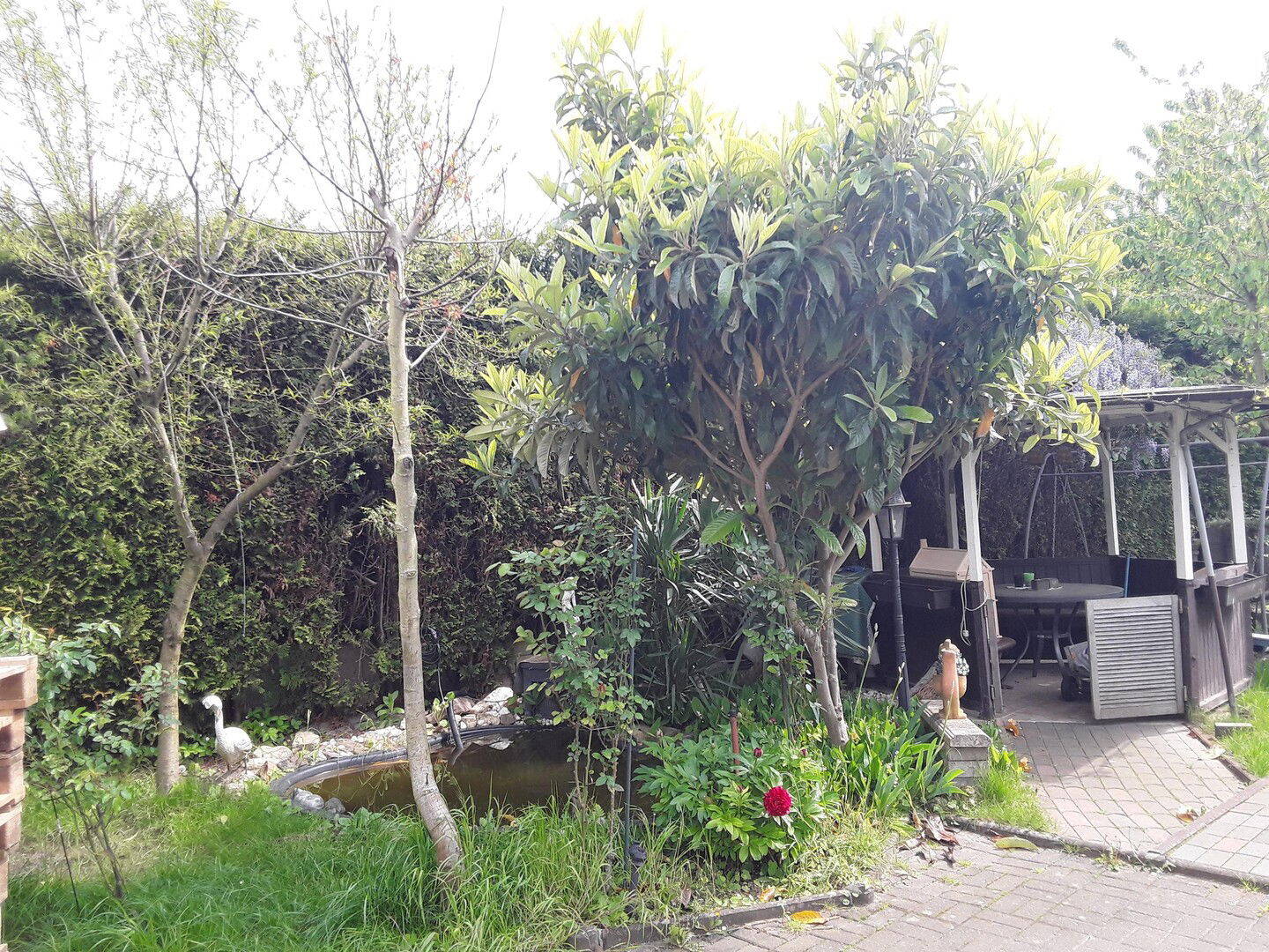 Bild 9