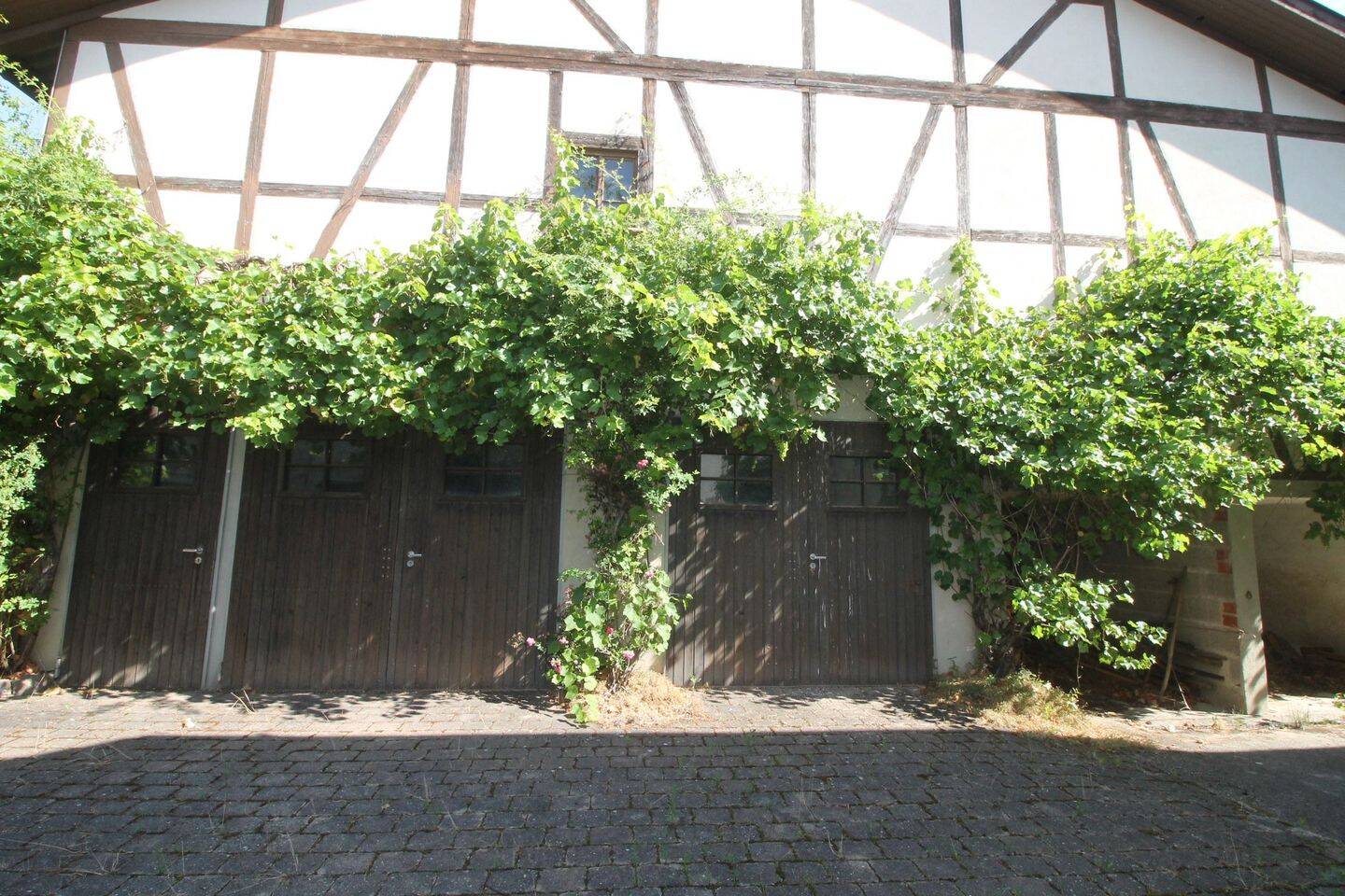 Bild 8