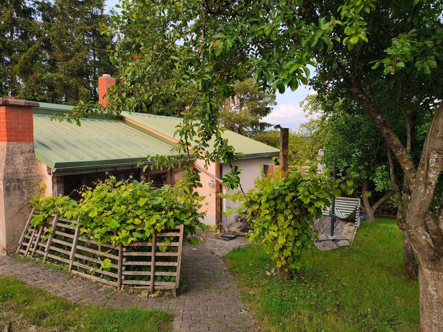 Bild 5