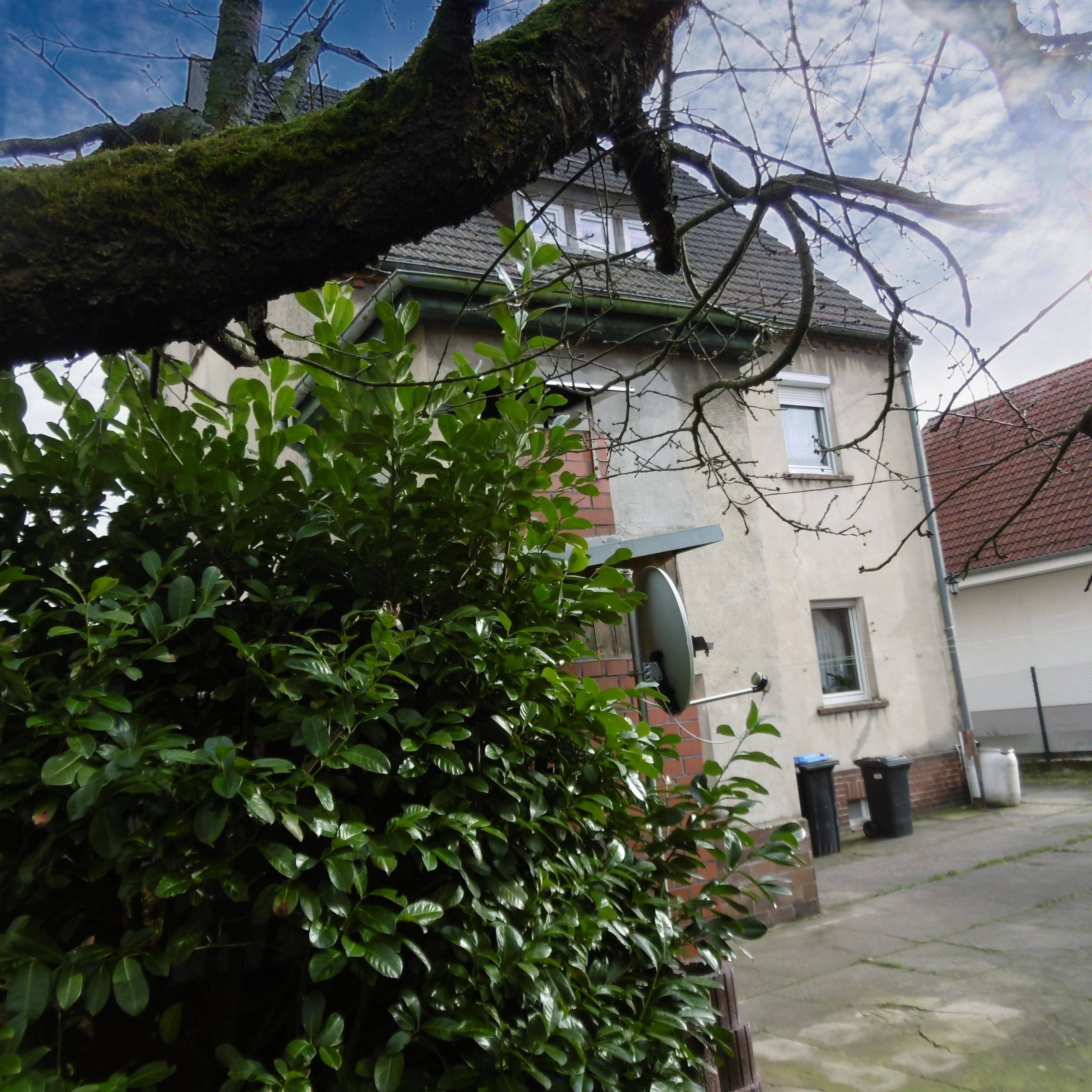 Bild 4