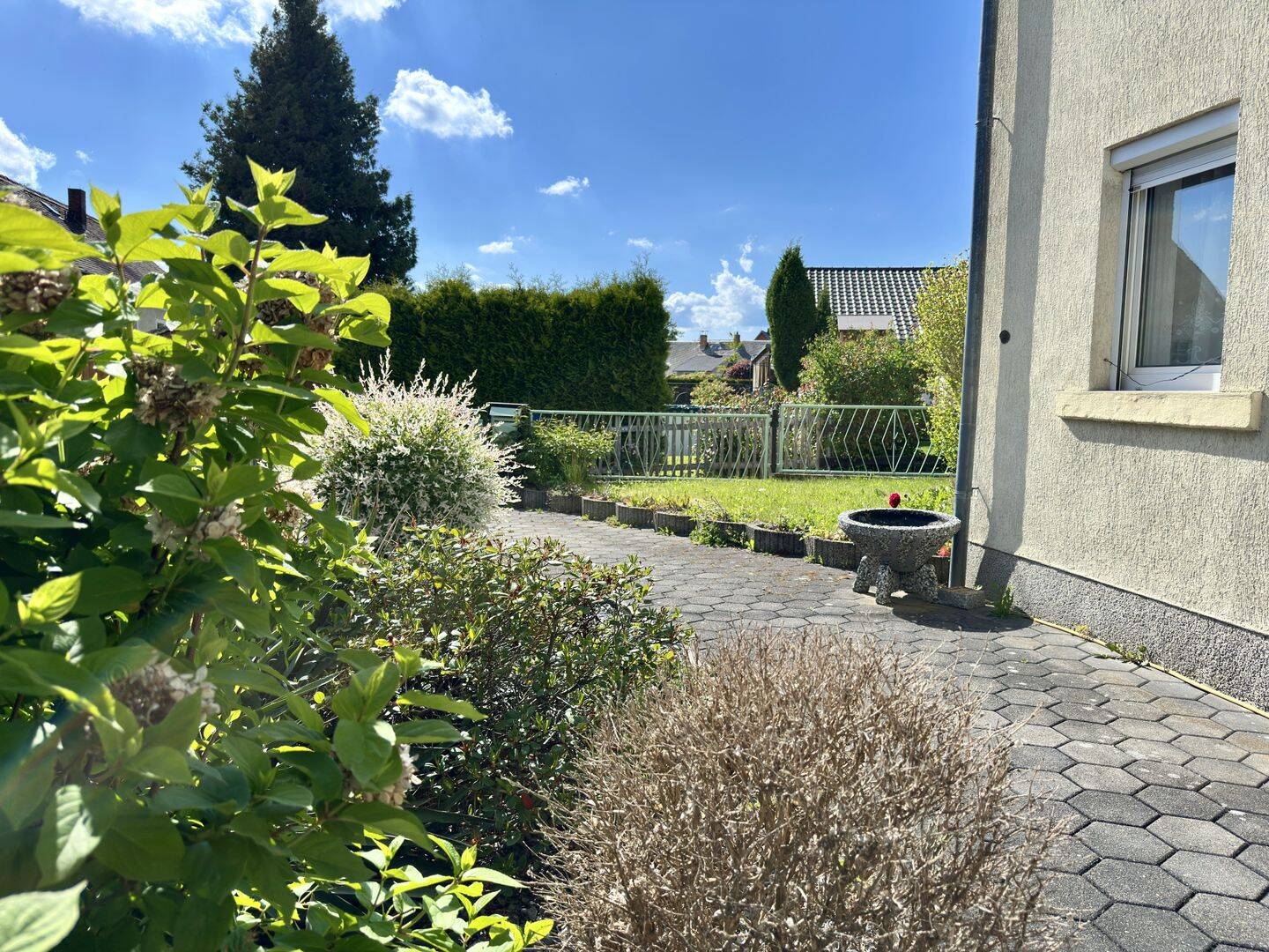 Bild 7