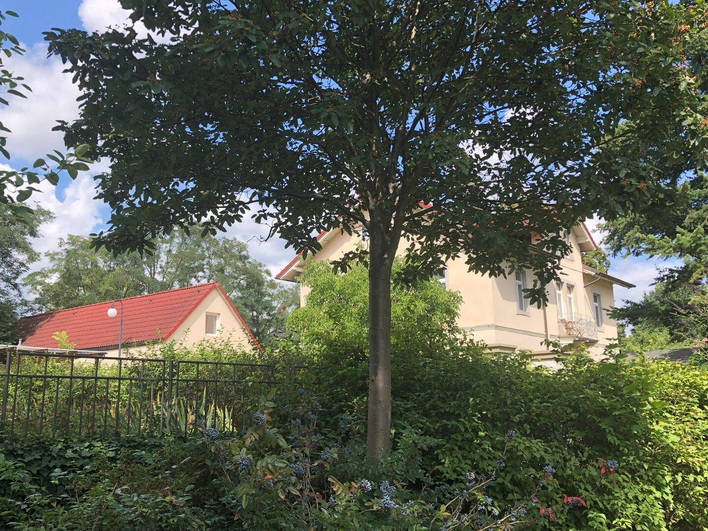 Bild 8