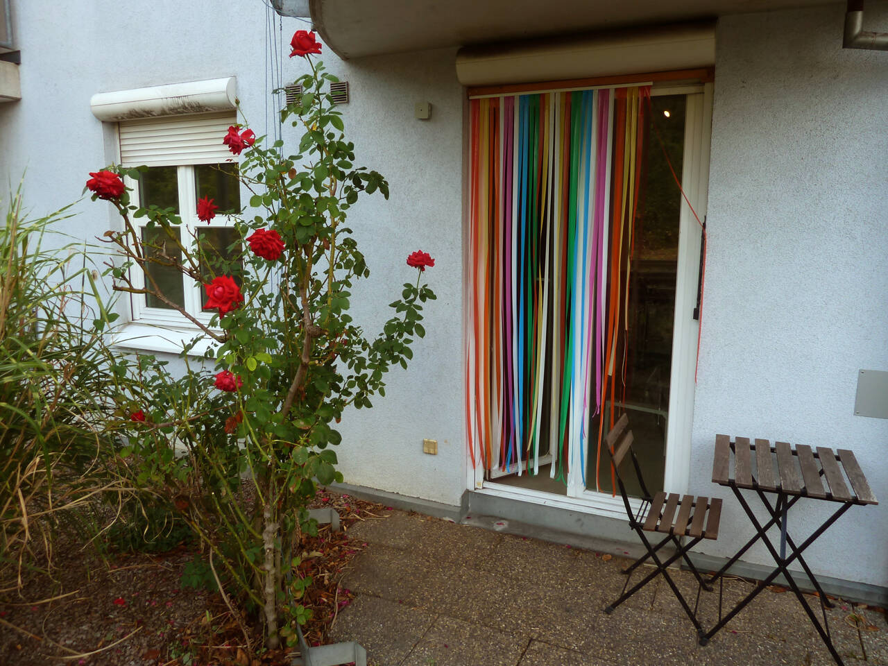 Bild 7