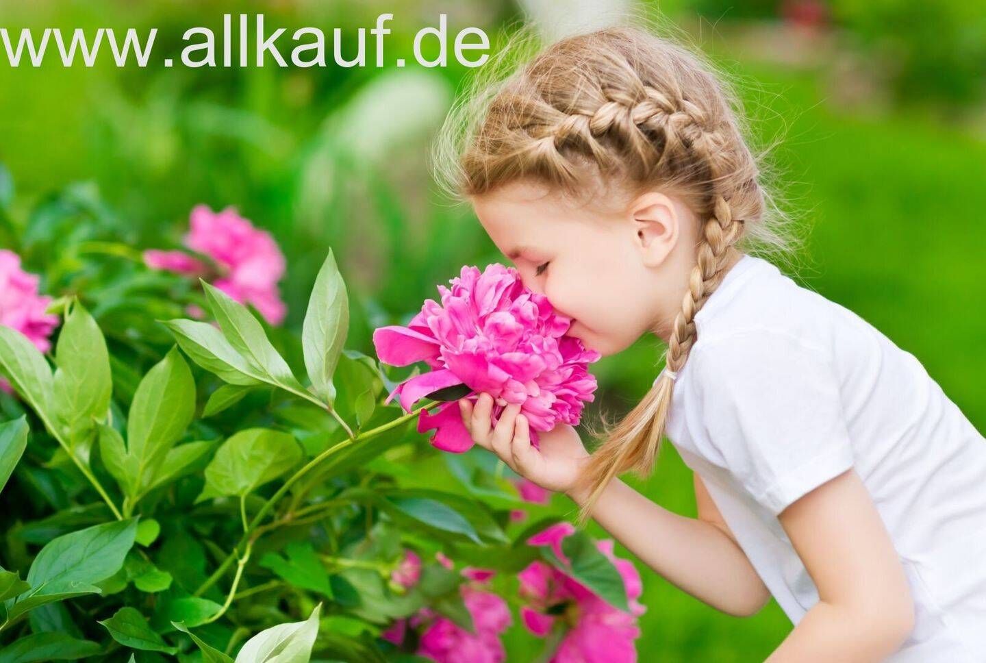 image-66790428