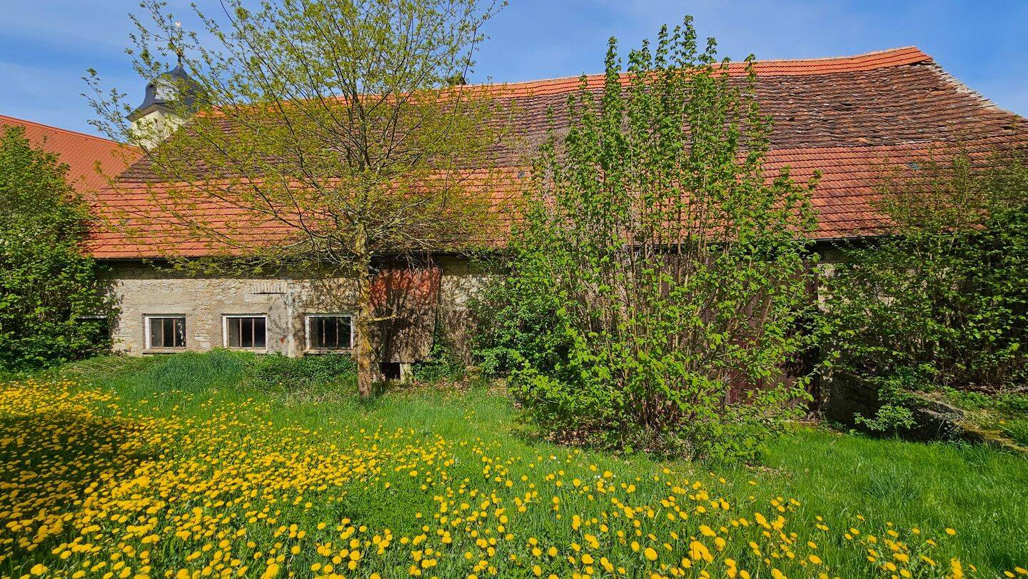 Bild 6