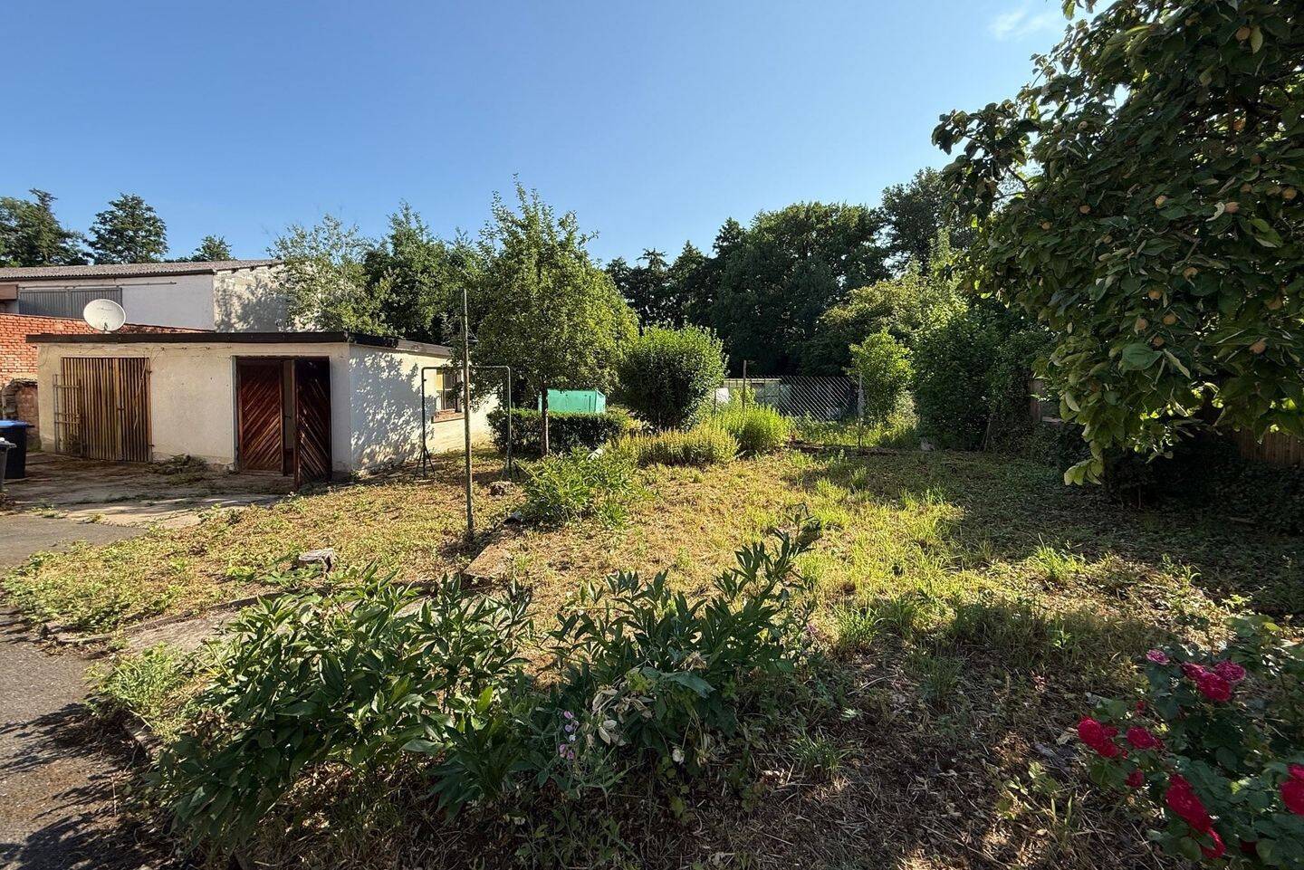 Bild 10