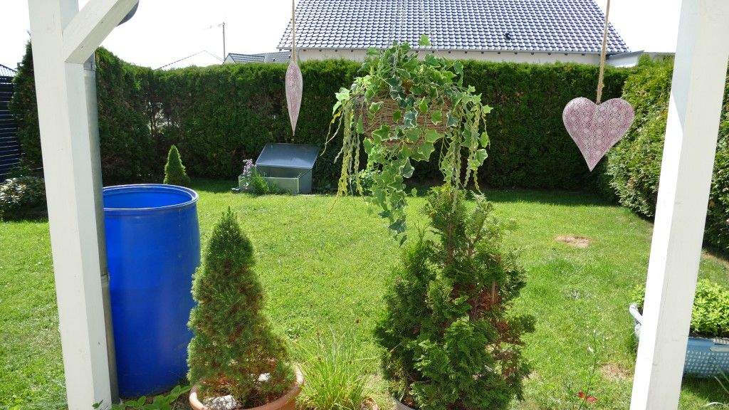 Bild 6