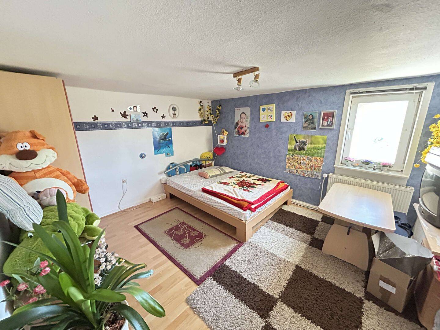 Bild 9