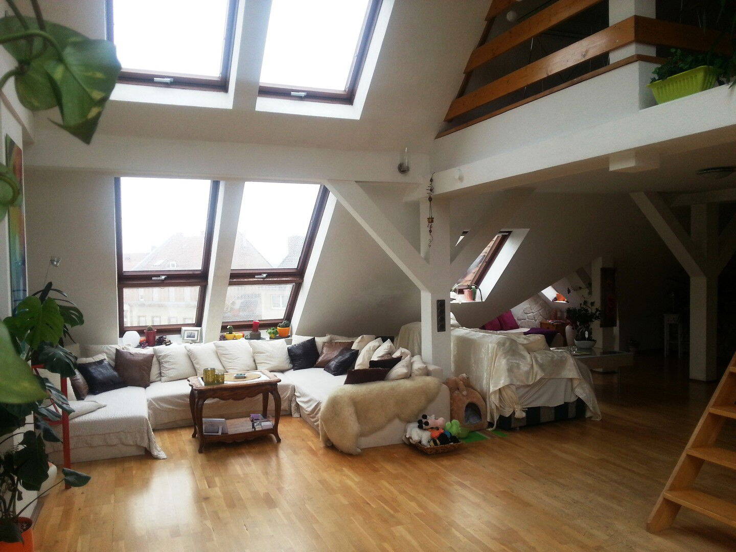 Bild 6