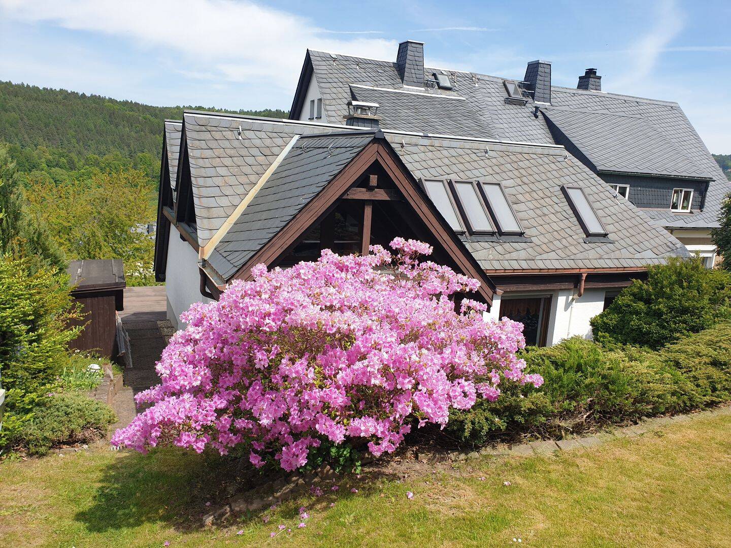 Bild 5