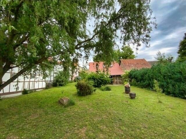 Bild 7