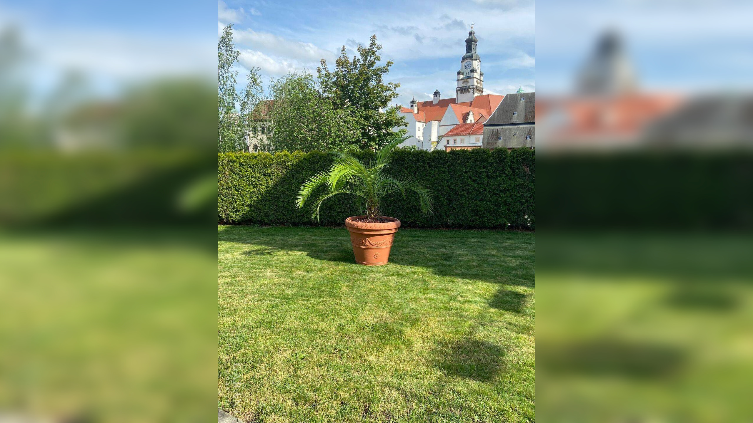 Bild 6