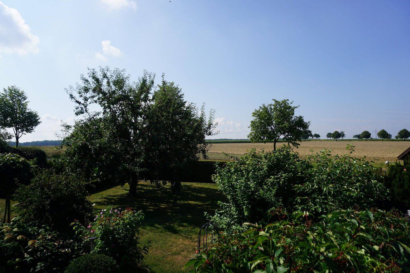 Bild 11