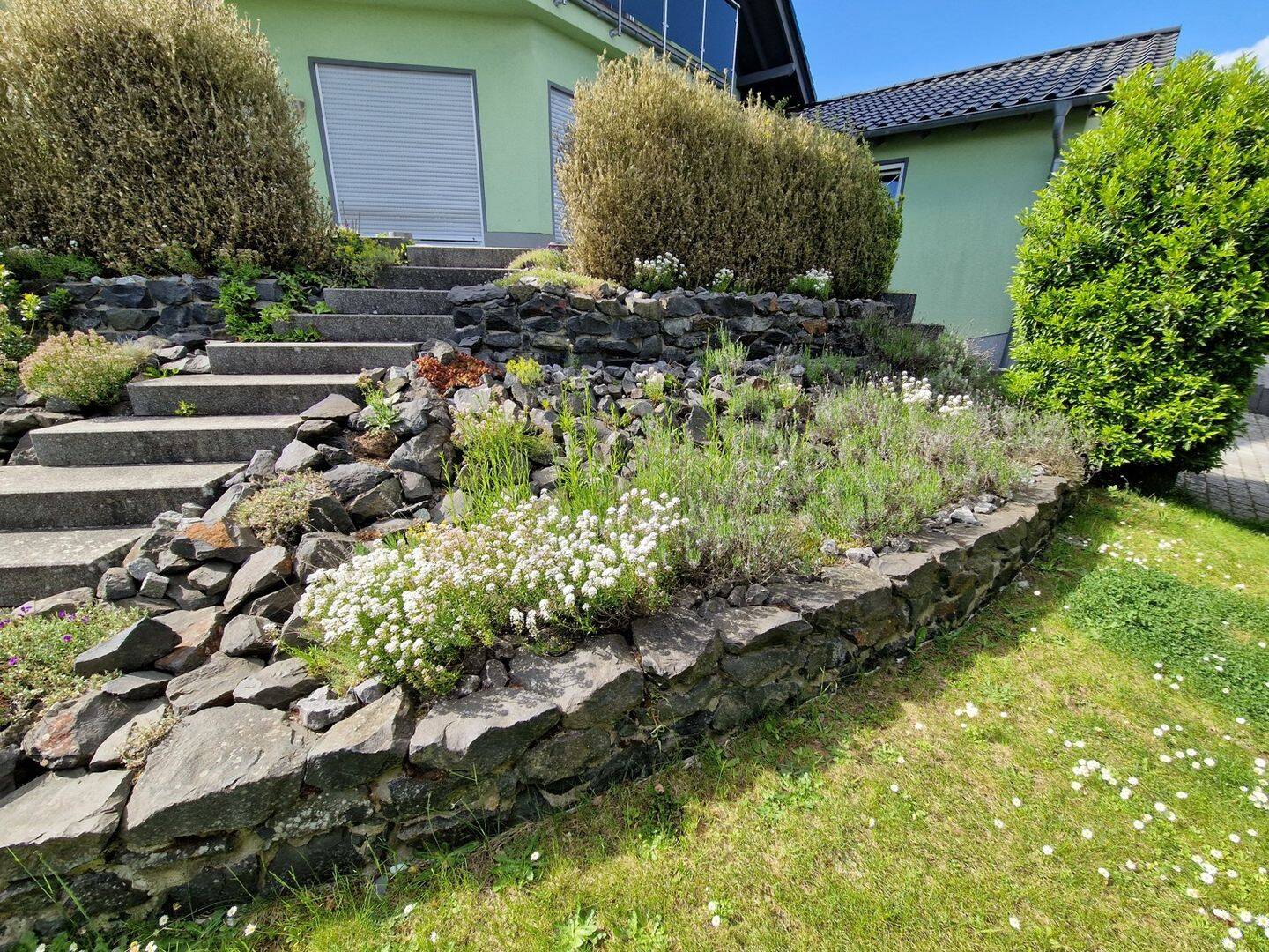 Bild 6