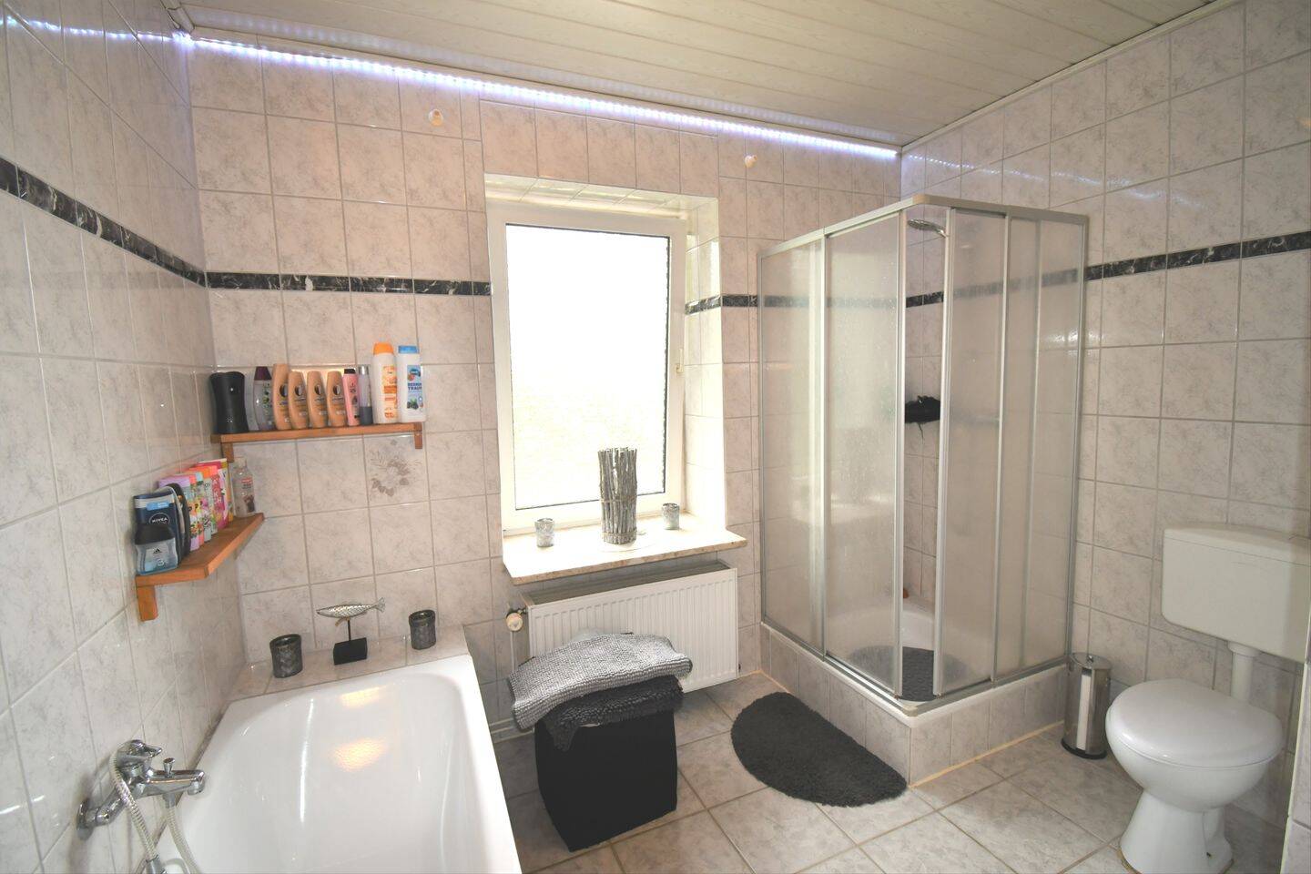 Bild 11