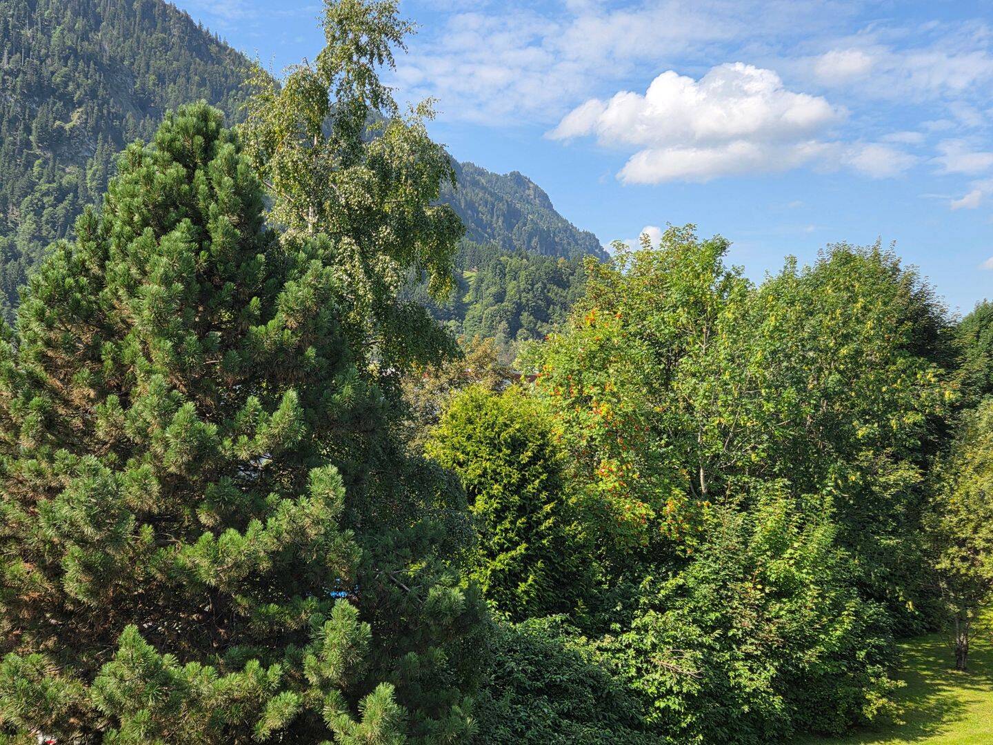 Bild 4