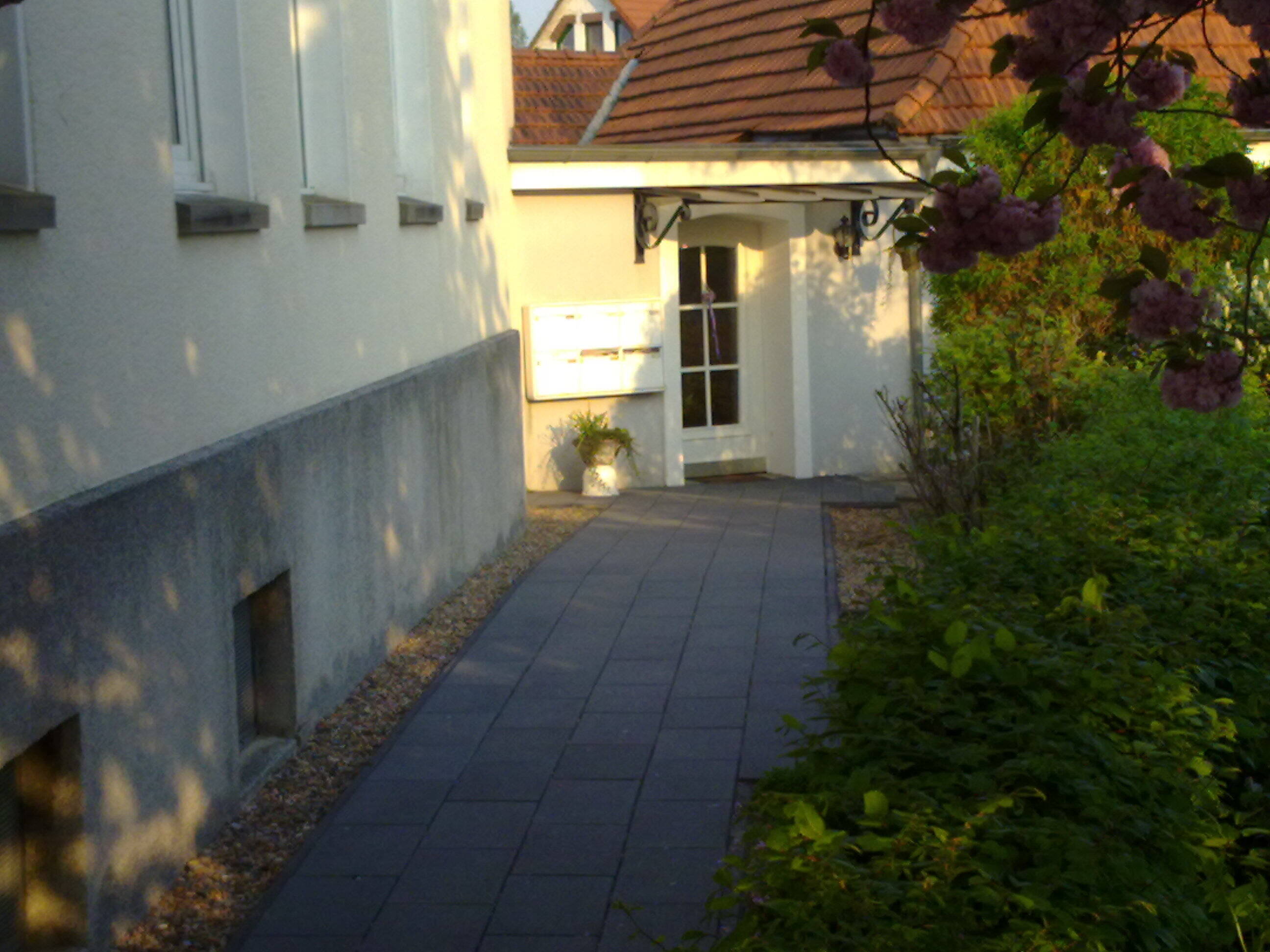 image-66910199