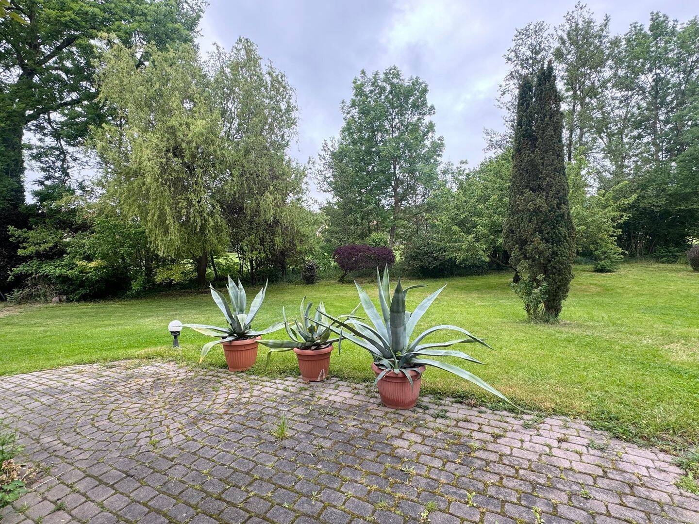 Bild 8
