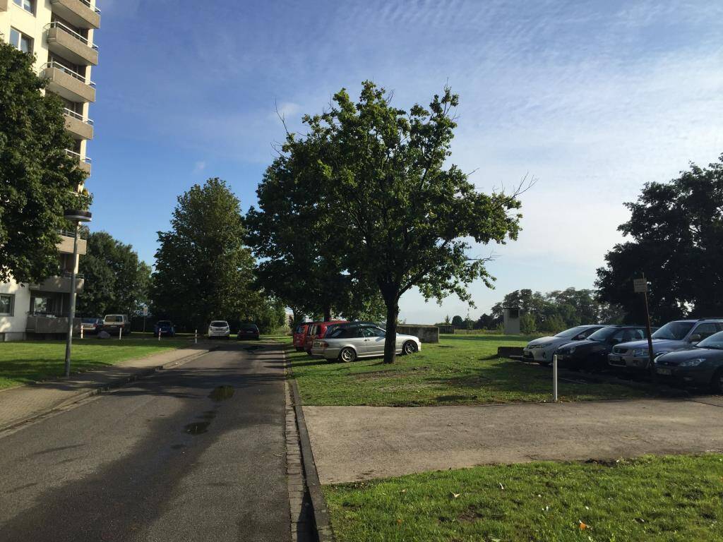 Bild 7