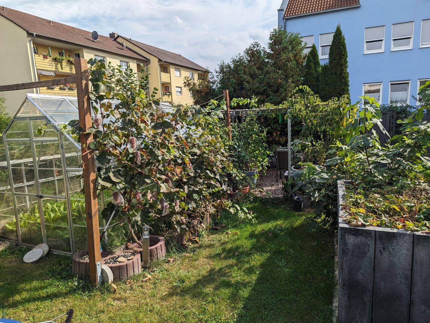 Bild 7