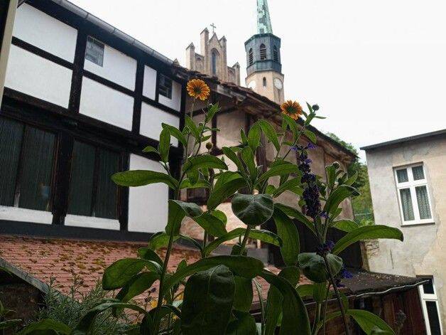 Bild 4
