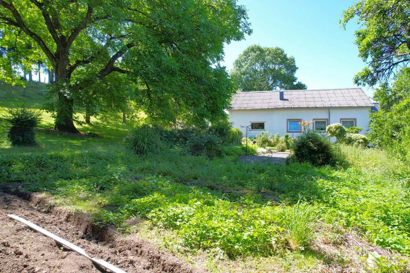 Bild 14