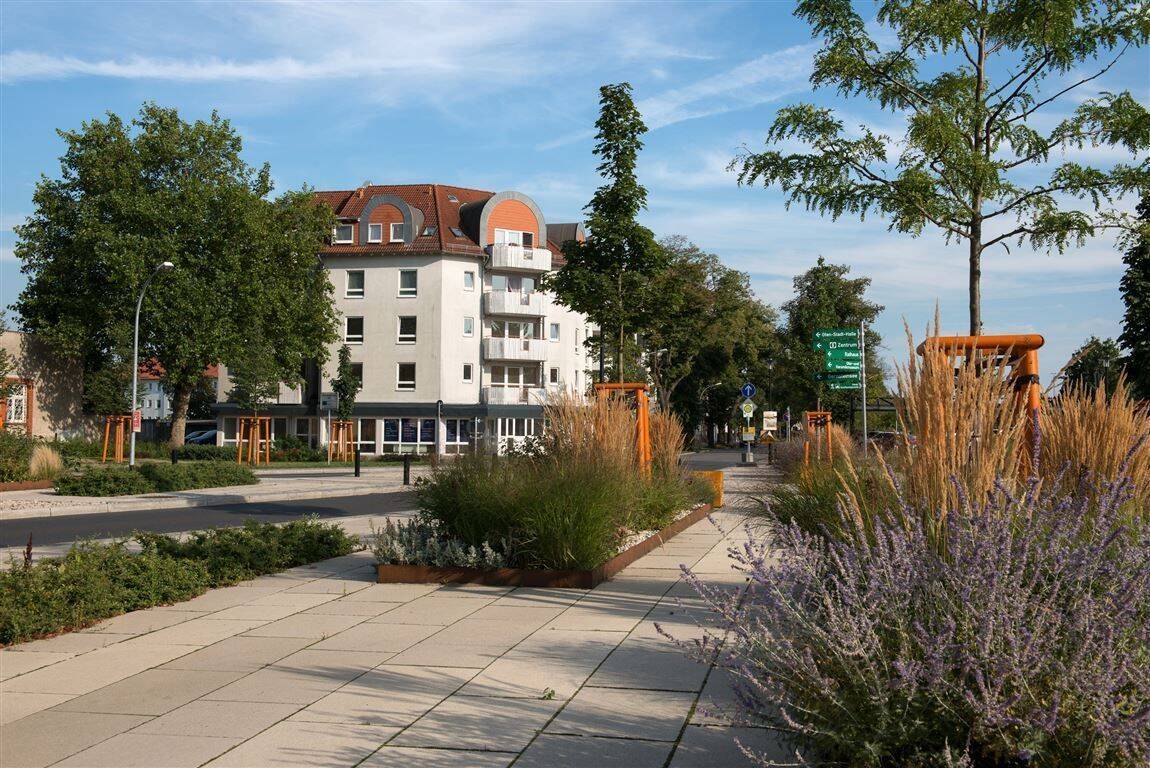 Bild 9