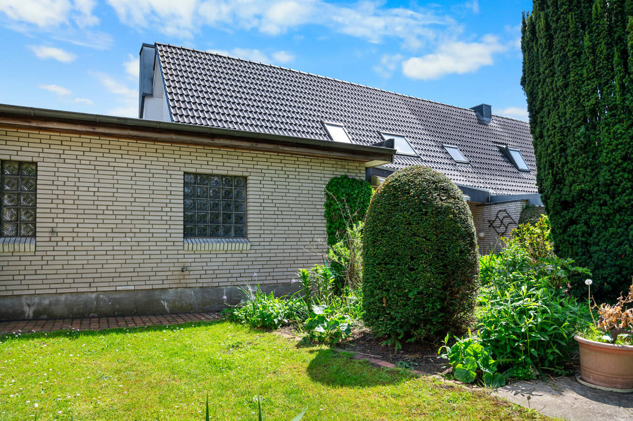 Bild 12