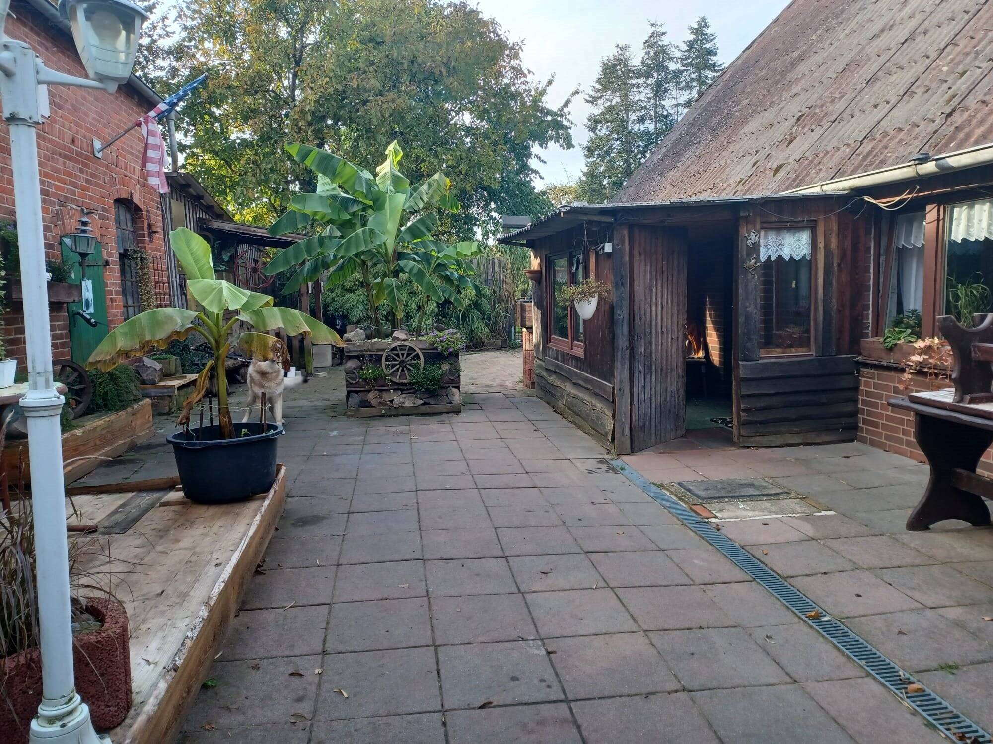Bild 5