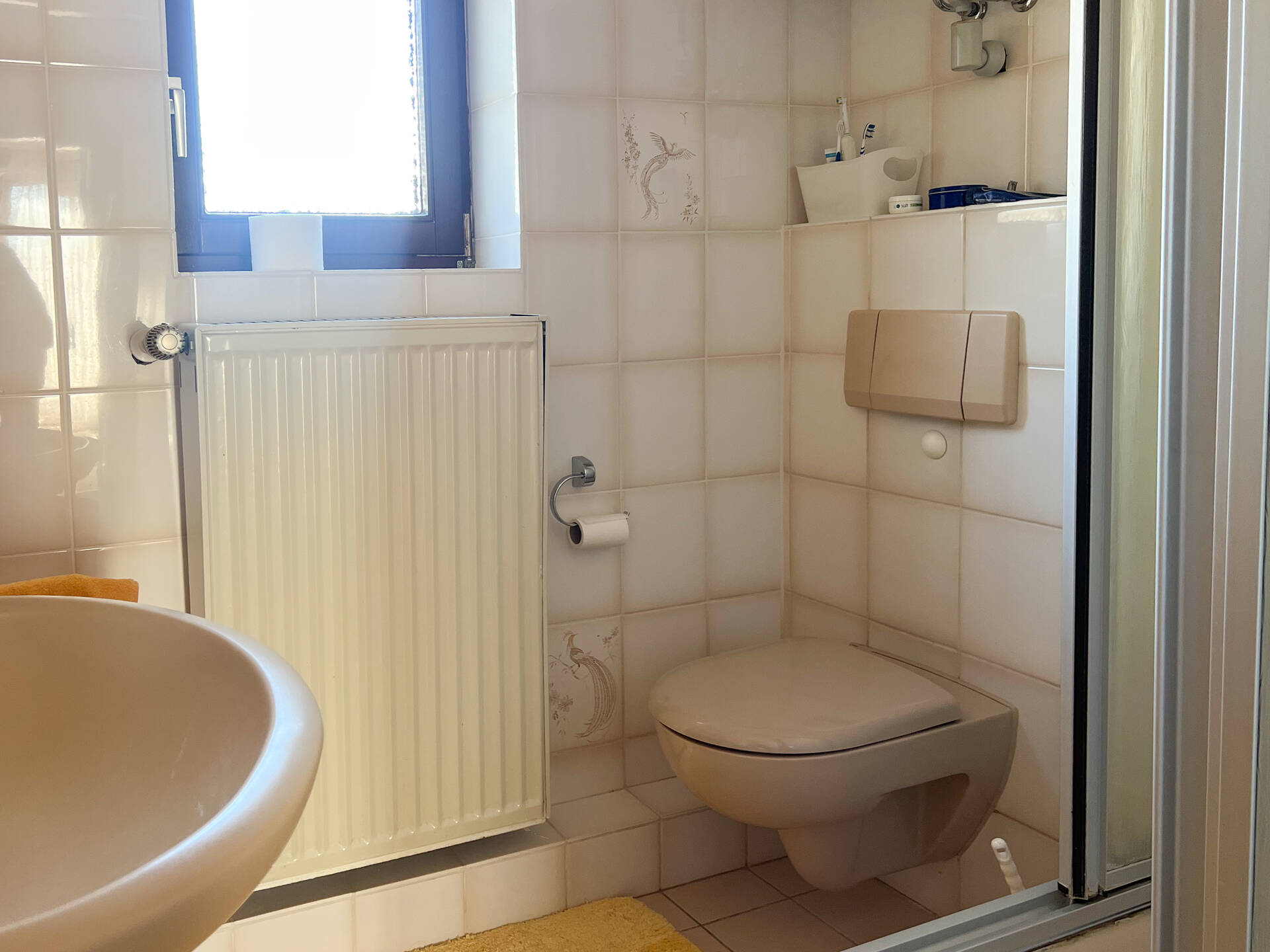 Bild 19