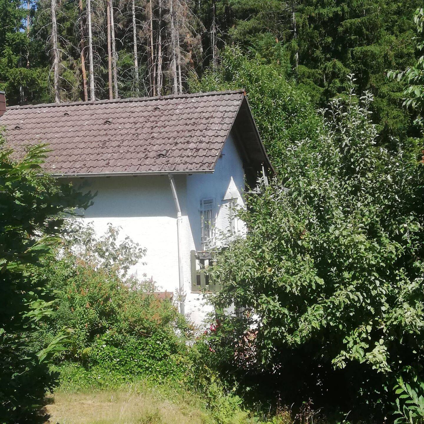 Bild 6